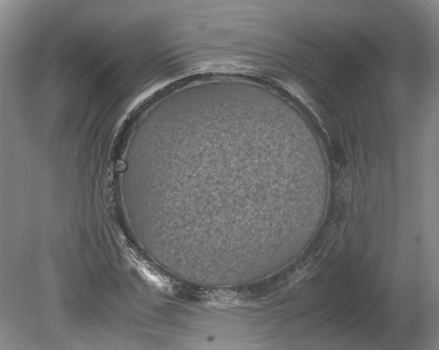 X0000079280971200612011654