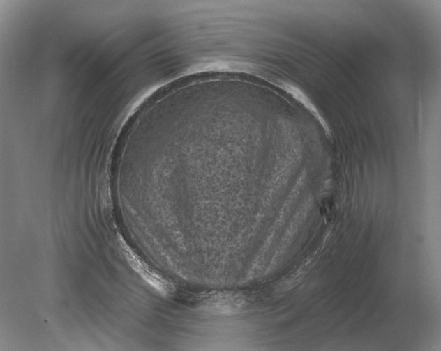 X0000079280972200612011654