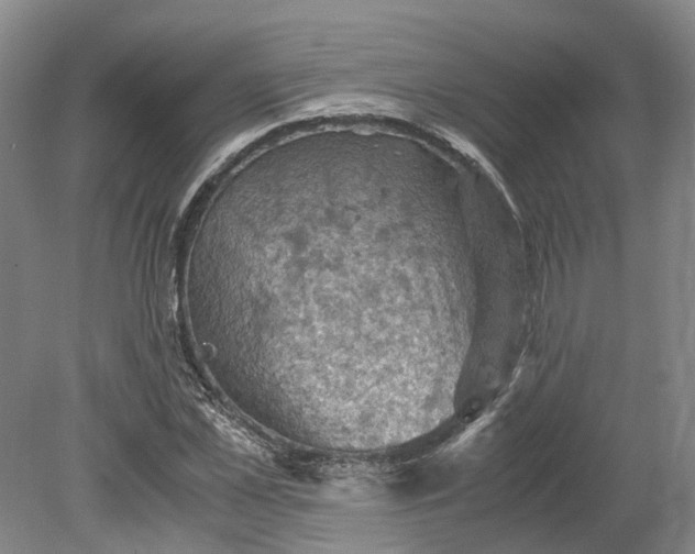 X0000079280973200612011654