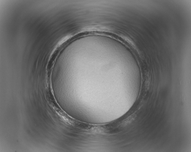 X0000079280974200612011654