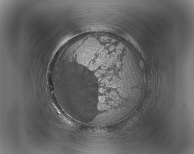 X0000079280975200612011654