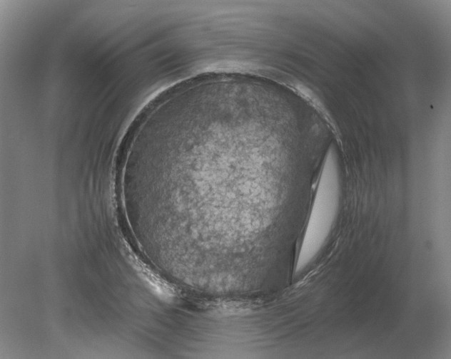 X0000079280976200612011654