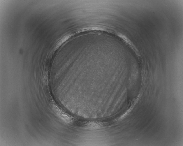 X0000079280977200612011654