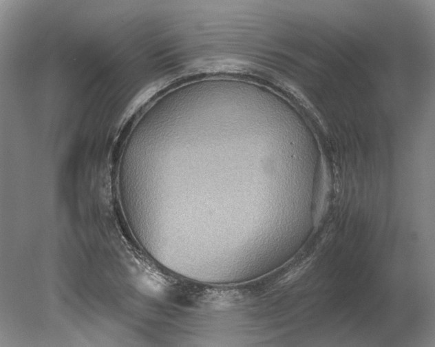 X0000079280978200612011654