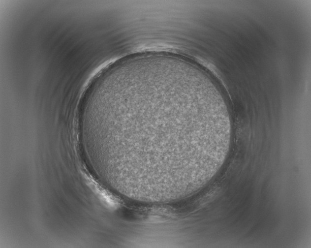 X0000079280979200612011654