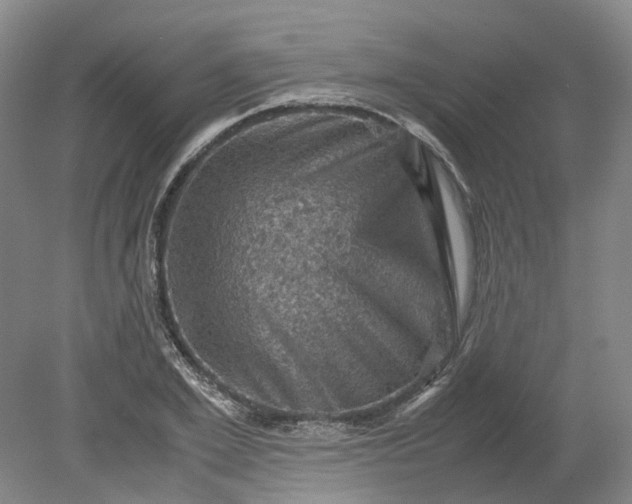 X0000079280981200612011654