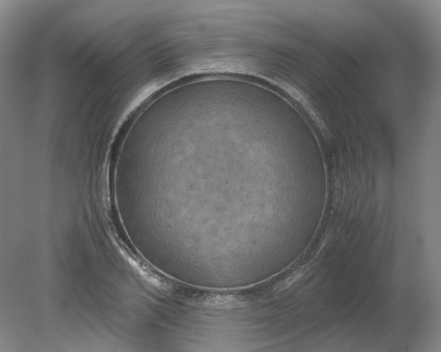 X0000079280982200612011653