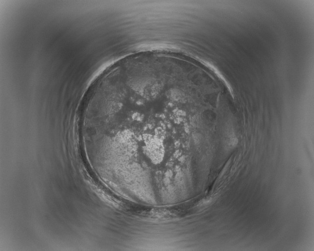 X0000079280983200612011653