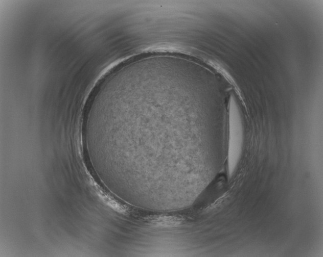 X0000079280984200612011653