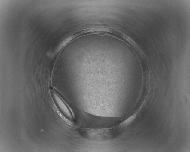 X0000079280985200612011653