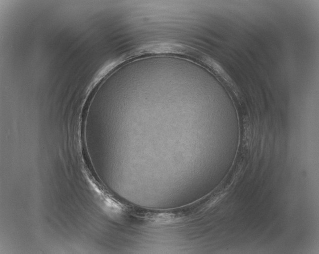 X0000079280986200612011653