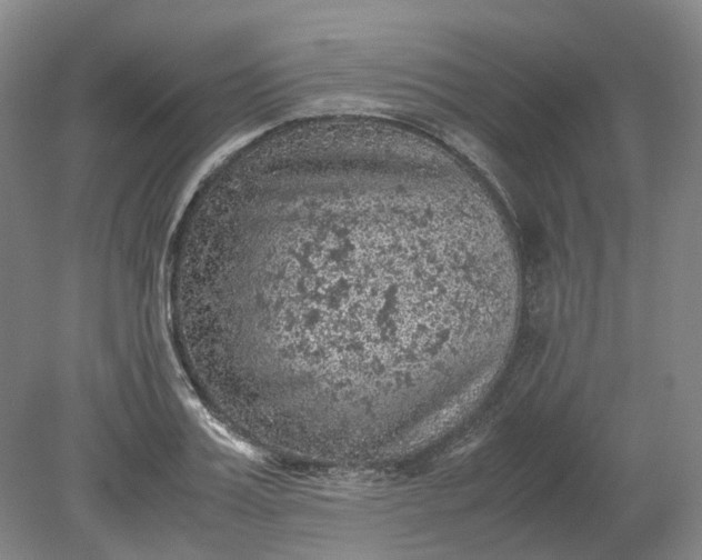 X0000079280987200612011653