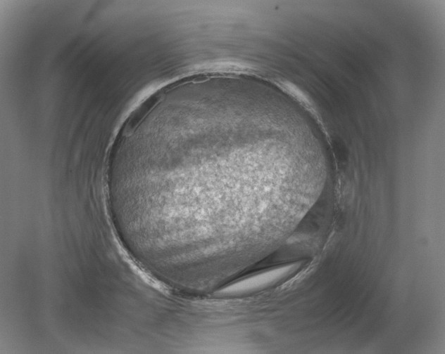 X0000079280989200612011653