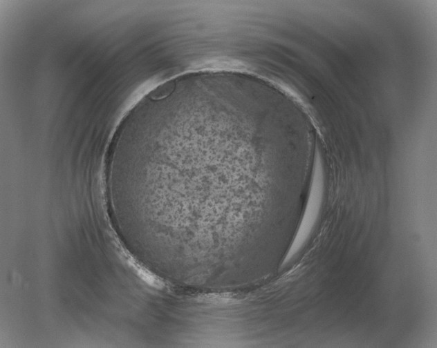 X0000079280990200612011653