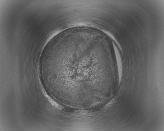 X0000079280991200612011653