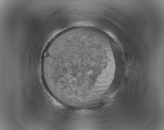 X0000079280992200612011653