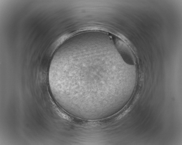 X0000079280993200612011653