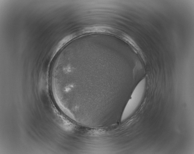 X0000079280994200612011653