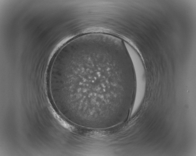 X0000079280995200612011653