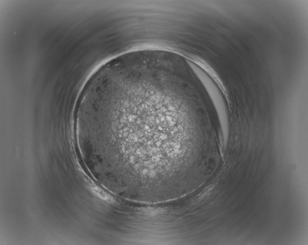 X0000079280996200612011653