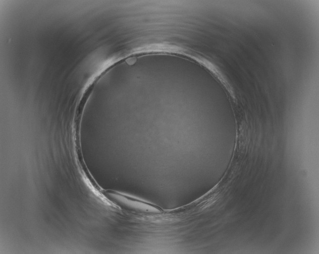 X0000079280998200612011653