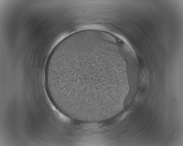 X0000079280999200612011653