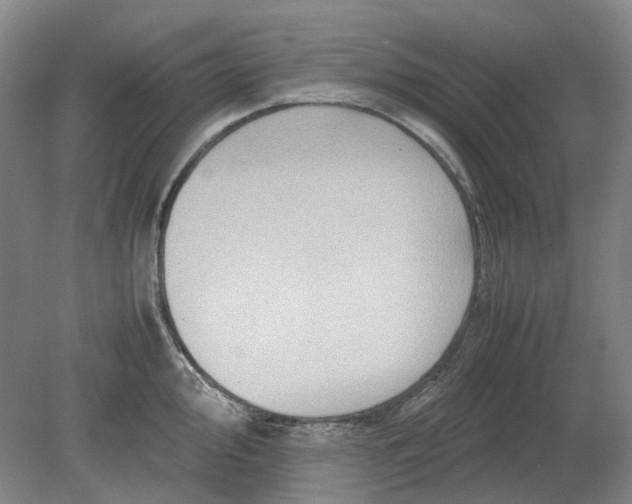 X0000079281000200612011653