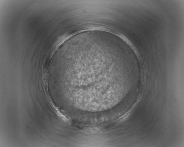 X0000079281001200612011653