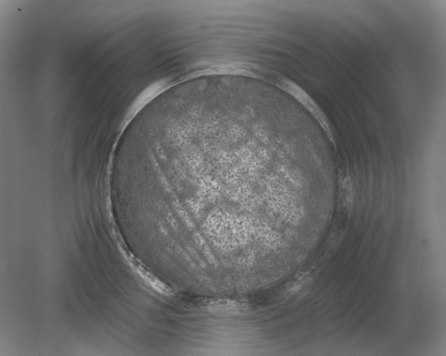 X0000079281002200612011653