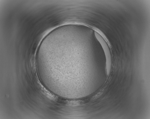 X0000079281004200612011653