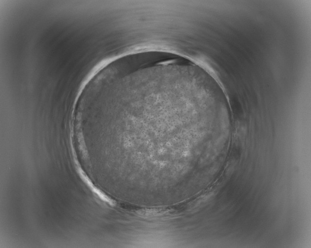 X0000079281005200612011653