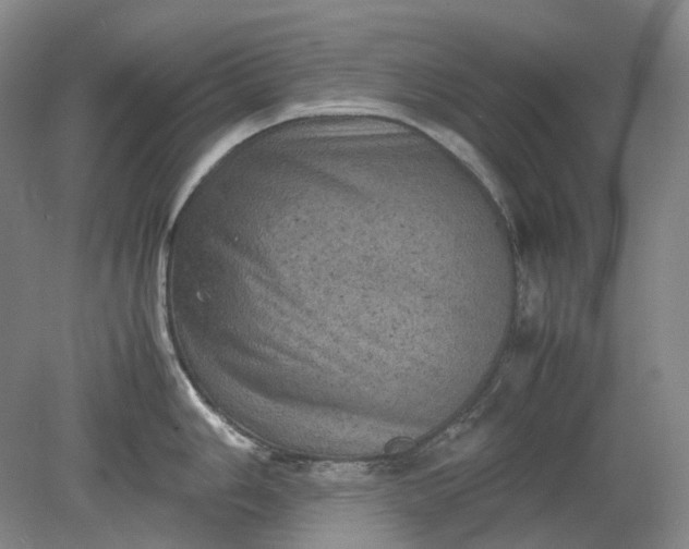 X0000079281006200612011653