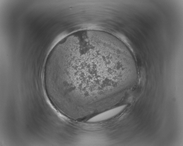 X0000079281007200612011653