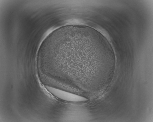 X0000079281008200612011653