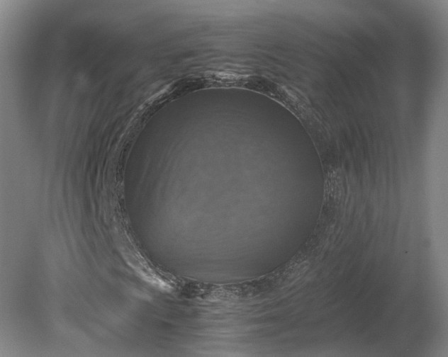 X0000079281009200612011652