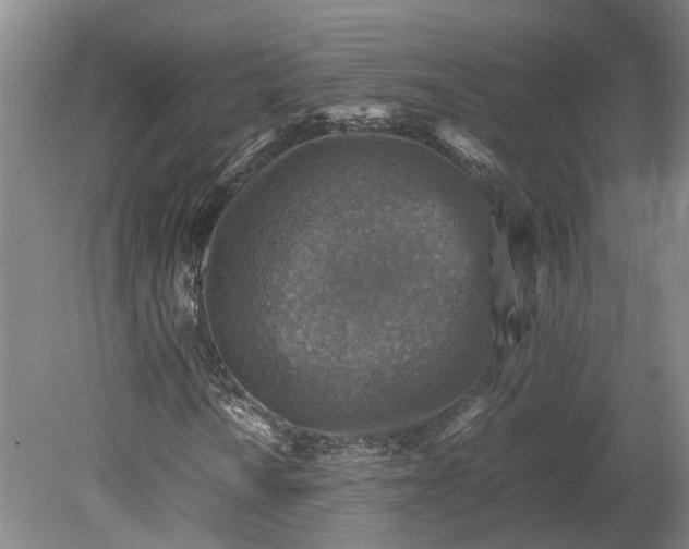 X0000079281010200612011652