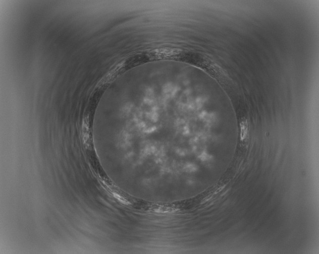 X0000079281011200612011652