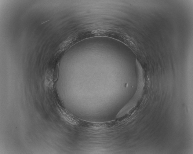 X0000079281012200612011652