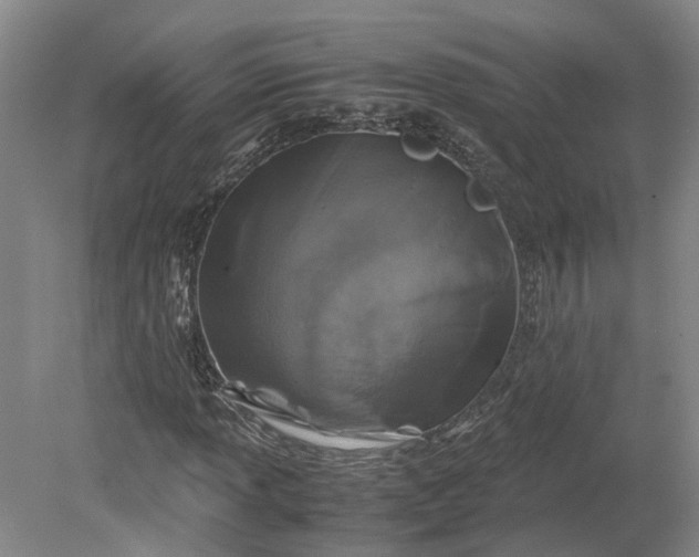 X0000079281013200612011652