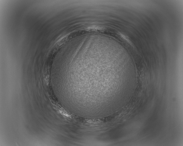 X0000079281015200612011652