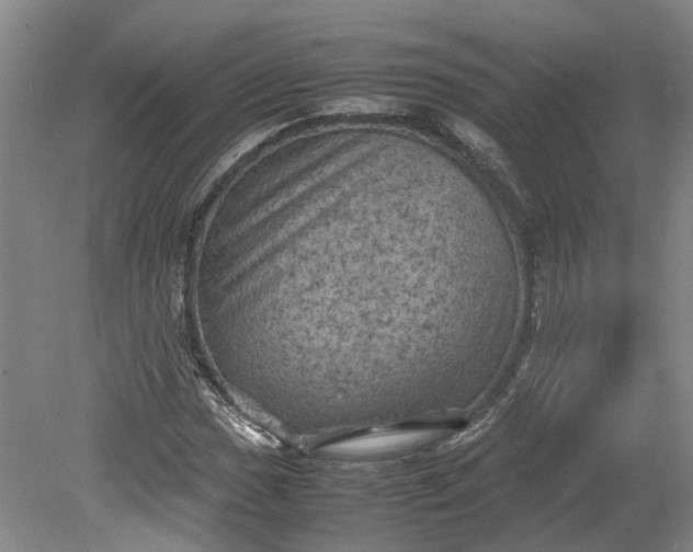 X0000079281017200612011652