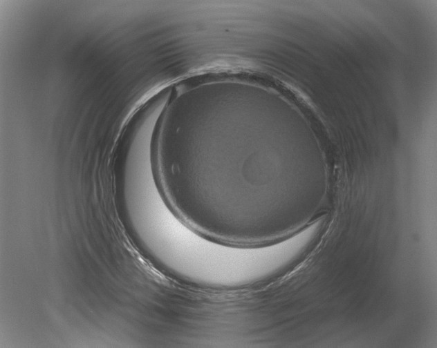 X0000079281018200612011652