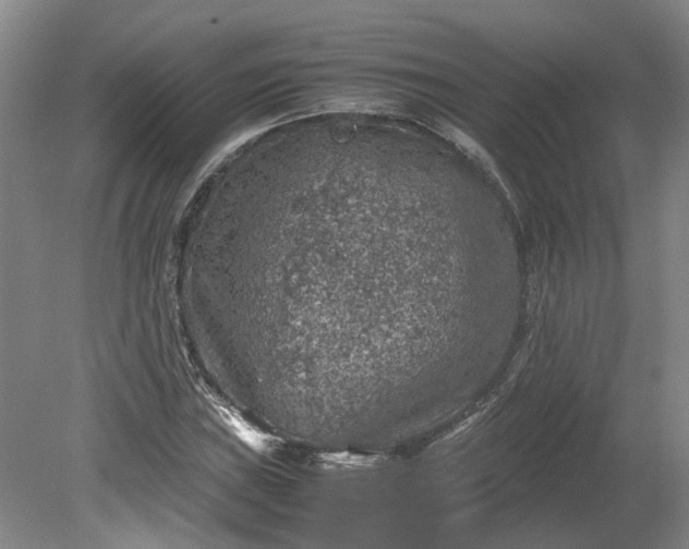 X0000079281019200612011652