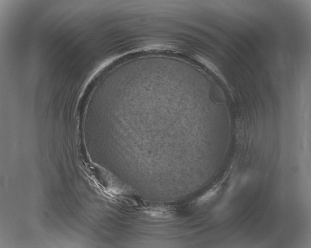 X0000079281021200612011652