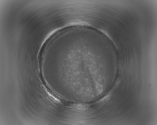 X0000079281022200612011652