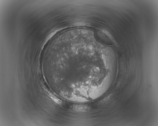 X0000079281023200612011652