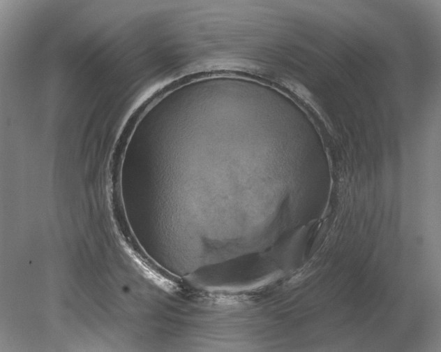 X0000079281024200612011653