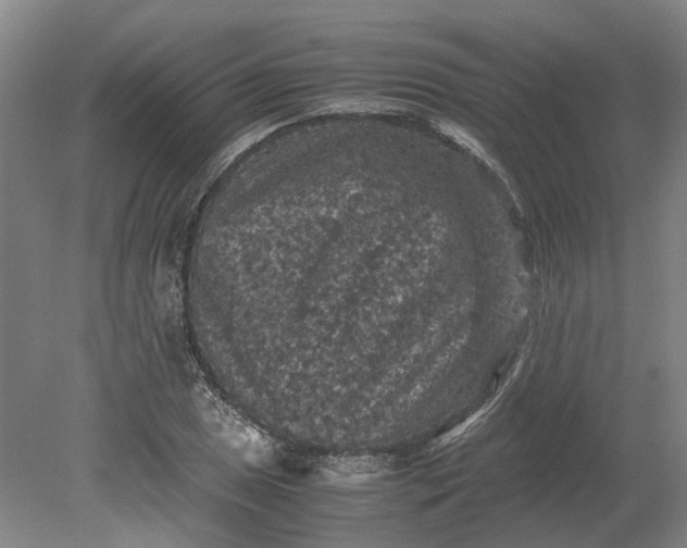 X0000079281025200612011653