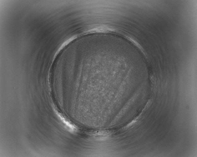 X0000079281026200612011653