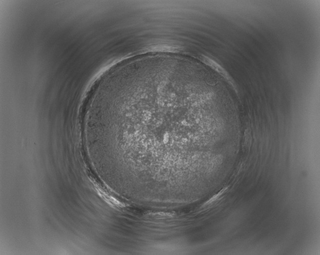 X0000079281027200612011653